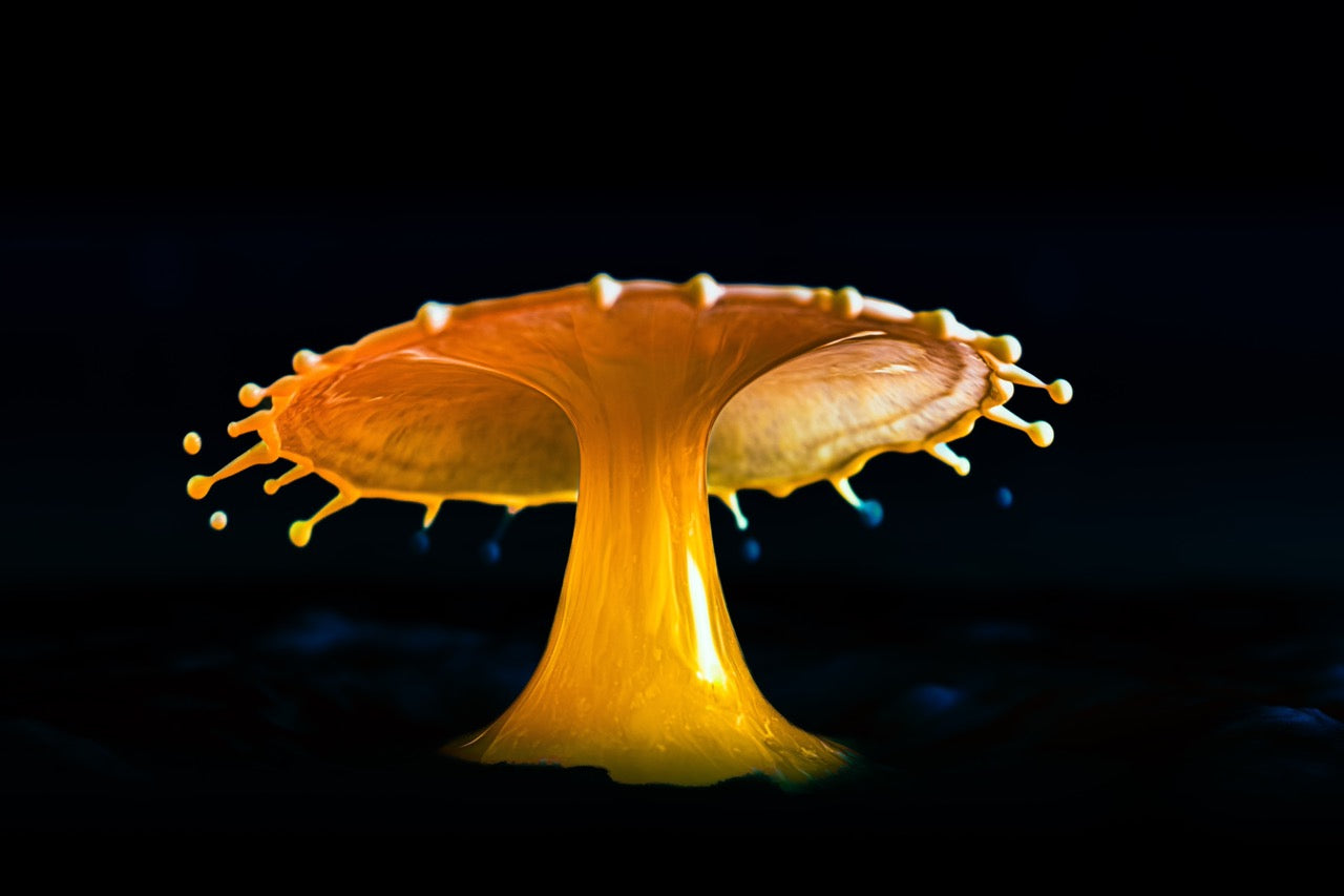 Makro Wassertropfen - Potpourri aus Milch, Alkohol, Glyzerin und gelbe Lebensmittelfarbe