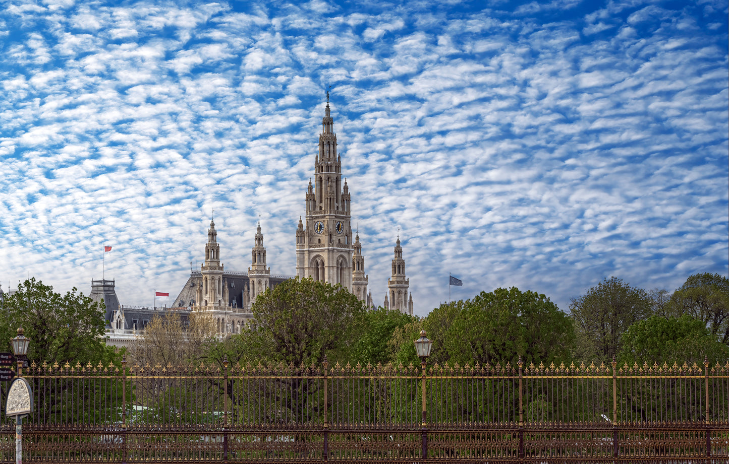 Rathaus Wien