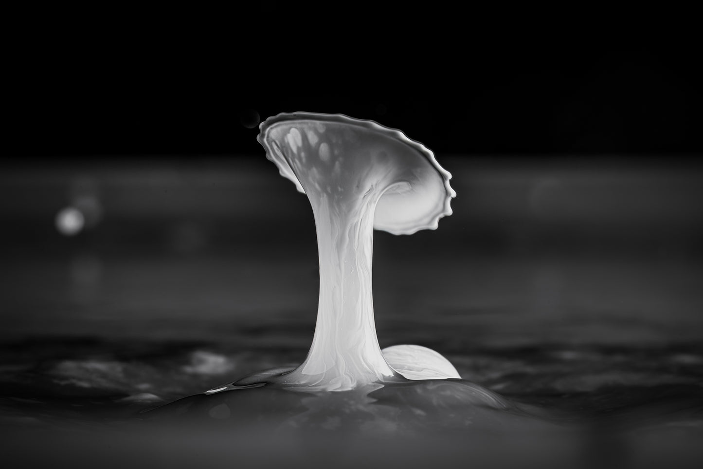 Makro Wassertropfen - Potpourri aus Milch, Alkohol, Glyzerin