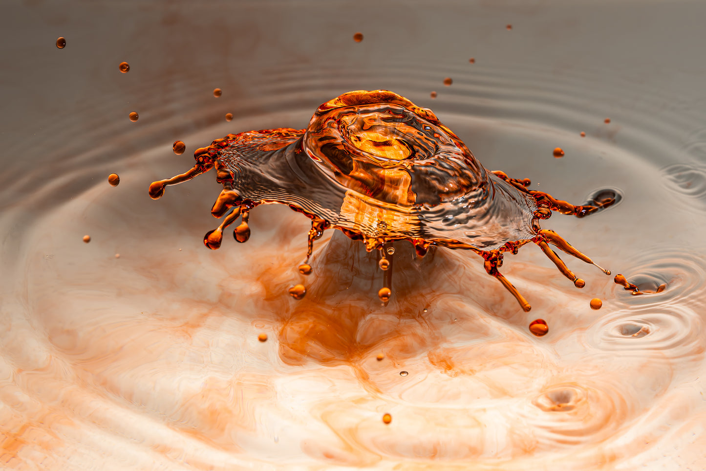 Makro Wassertropfen - Potpourri aus Kaffee Obers, Ethylalkohol und Glycerol, rote Lebensmittelfarbe