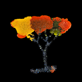 Pointillismus - colors tree