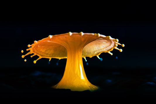 Makro Wassertropfen -  Potpourri aus Milch, Alkohol, Glyzerin und gelbe Lebensmittelfarbe