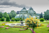 Großes Palmenhaus Schönbrunn