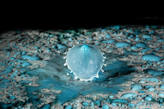 Makro Wassertropfen - Potpourri aus Kaffee Obers, Ethylalkohol und Glycerol, blaue Lebensmittelfarbe