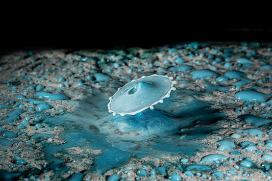 Makro Wassertropfen - Potpourri aus Kaffee Obers, Ethylalkohol und Glycerol, blaue Lebensmittelfarbe