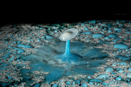 Makro Wassertropfen - Potpourri aus Kaffee Obers, Ethylalkohol und Glycerol, blaue Lebensmittelfarbe