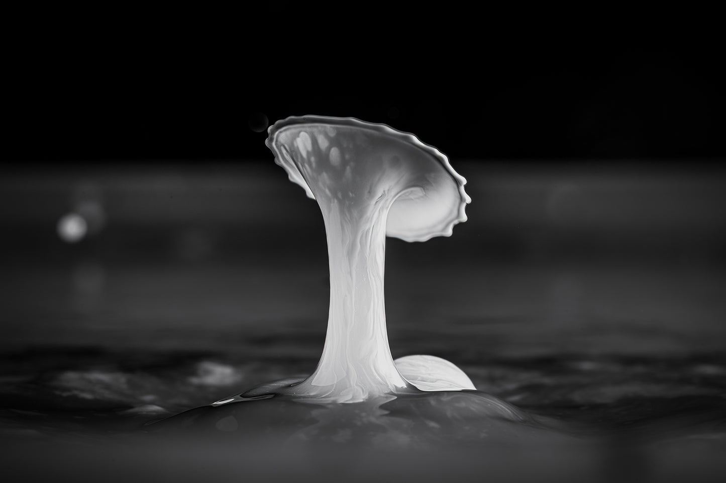 Makro Wassertropfen - potpourri mit Milch, Alkohol und Glyzerin